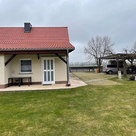Ferienhaus Altenhof Mueritz Bagian luar foto